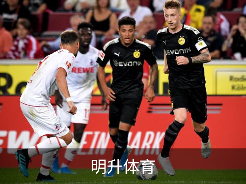 企业简介